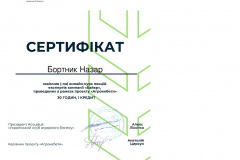 Бортник