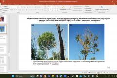 Лекція-Мєшкова-2