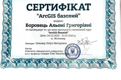 Боровець