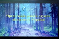 596770997_2381397705611757_9199032334125044775_n