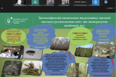 596815115_2381398728944988_1847149106416783736_n