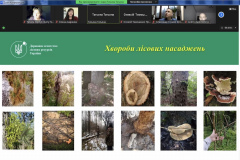 597099830_2381398852278309_1439035105072995403_n