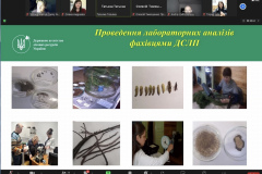 597411829_2381398615611666_4238231635088192553_n