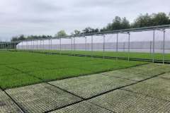 498288196_24049304978008392_8328192492950696222_n