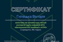 Гнітецька