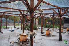 481768177_616696801323914_777296392546783499_n