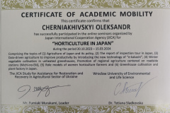 Черняхівський_Японія-Сертифікат