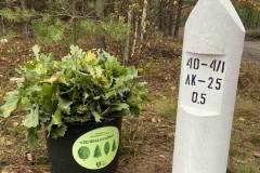 571129130_2011539442981718_4139259036810492731_n