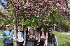 ПЗ_Дендрологія