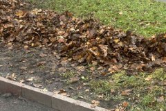 photo_5219760479268441282_y