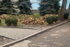 photo_5219760479268441283_y