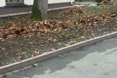 photo_5219760479268441284_y