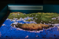 AAA_0372