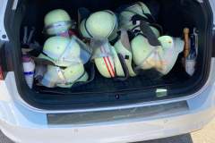 FB_IMG_1648020334904