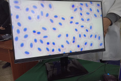 274066723_1022722158317881_6579082650192217012_n