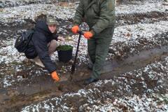 Посадка-лісу-4