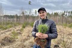 Посадка-лісу-3