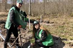 Посадка-лісу-4