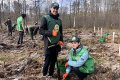 Посадка-лісу-5