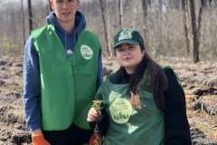 Посадка-лісу-7