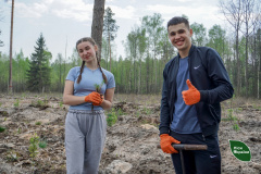 Посадка-лісу