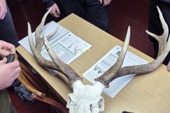 головна-мисливці