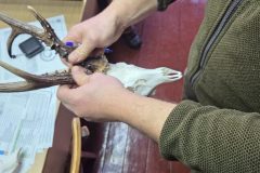 573343714_2187877471701707_4662273140452124734_n-768x1024