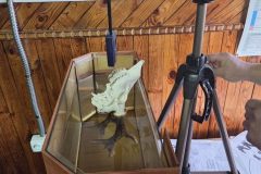 574088506_2187877411701713_3819377562296386494_n-768x1024