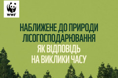 головна-форум-лісової