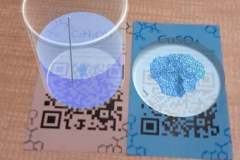 277768285_460548312513484_4923190026473443675_n