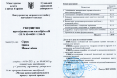 Сірук-І.ПК
