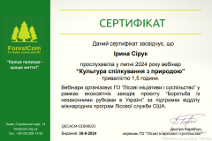 Сірук-І_2024