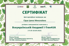 Сірук-І_i-tree