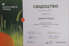 Сірук-менторство