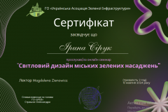 Сірук_дизайн