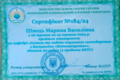 Швець-2