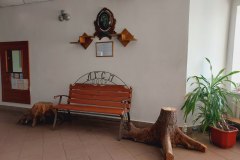 photo_2026-01-05_13-05-32