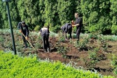 Робота-в-ботсаду-2