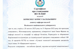 Сертифікат-Борисюк-Б.В