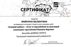 Итог1_Страница_04
