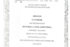 Итог1_Страница_11