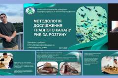 головна-фестиваль