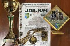 головна-собаки-пну