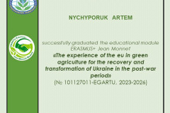 Ничипорук-Жан-Моне