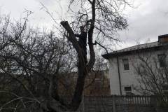 02ab5ed2-4cd3-4487-8cdc-9cbde6084af8