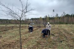 669611591_2203403637149828_1482688705228664973_n