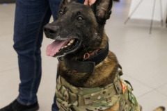 470669067_9455166537861341_8465375019934092710_n