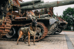 520135253_24628006610150753_5309976440729802890_n