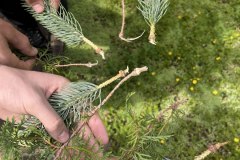 photo_2025-10-25_18-16-21