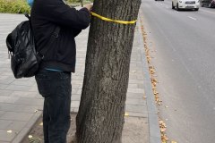 photo_2025-10-25_18-17-06